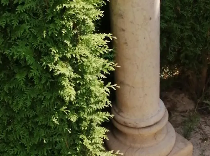 Apartament Auszeit Friedland (Mecklenburg-Vorpommern)